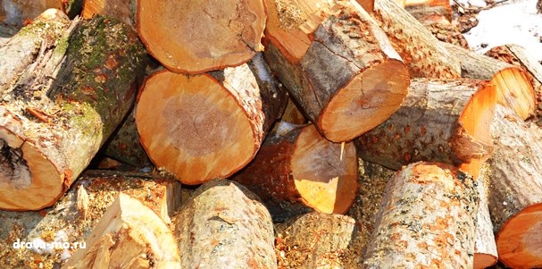 дрова чурбаками для предприятий
